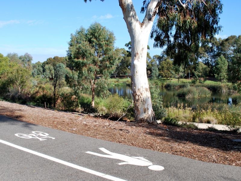 Photograph of walking and cycling path next to trees and bushes and the River Torrens/Karra Wirra Parri.